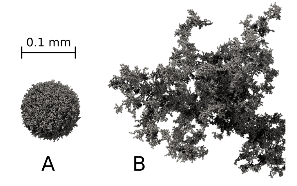 Fig. 2: Two dust aggregates grown in computer simulations. Aggregate A has grown by many hit-and-stick collisions with micrometer-size grains, resulting in an average porosity of 80%. Aggregate B has grown by colliding with particles similar to itself, which is closer to what is expected to occur in protoplanetary disks, and has a porosity >99% (from: Seizinger, Krijt, and Kley - Astronomy & Astrophysics, 2013).